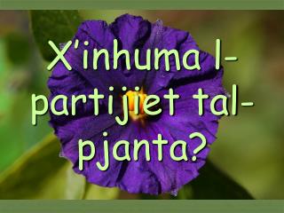 x inhuma l partijiet tal pjanta