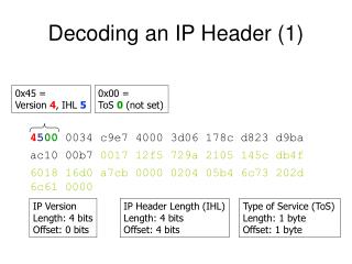 Decoding an IP Header (1)