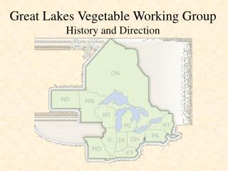 Great Lakes Vegetable Working Group History and Direction