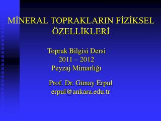 m neral topraklarin f z ksel zell kler