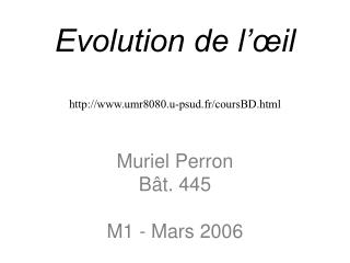 Evolution de l’œil umr8080.u-psud.fr/coursBD.html Muriel Perron Bât. 445 M1 - Mars 2006