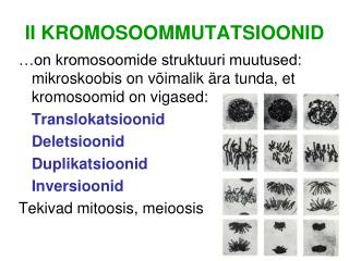 II KROMOSOOMMUTATSIOONID