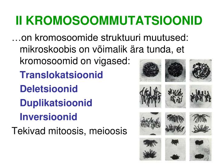 ii kromosoommutatsioonid