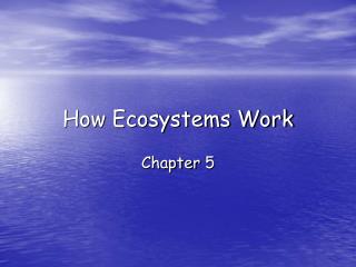 How Ecosystems Work