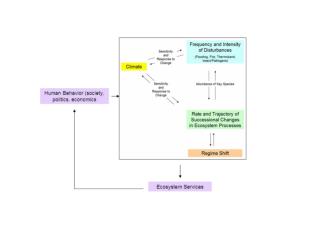 Direct linkages between climate change and altered disturbance (Rupp/Jones);