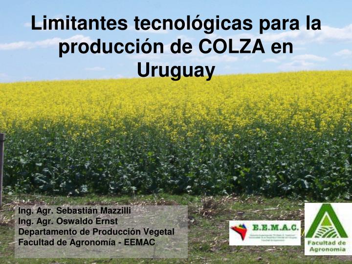 limitantes tecnol gicas para la producci n de colza en uruguay