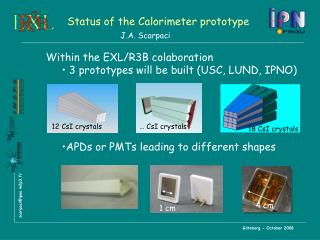 Status of the Calorimeter prototype
