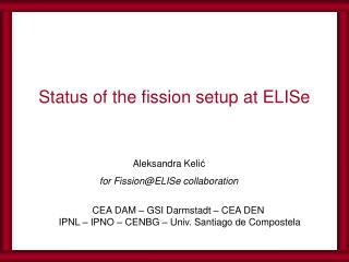 Status of the fission setup at ELISe