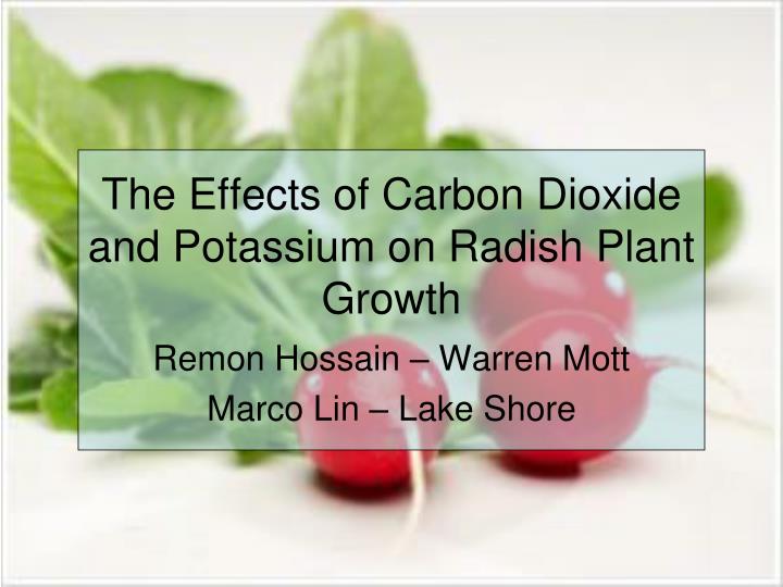 the effects of carbon dioxide and potassium on radish plant growth