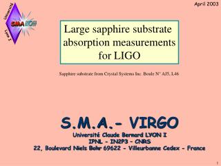Large sapphire substrate absorption measurements for LIGO
