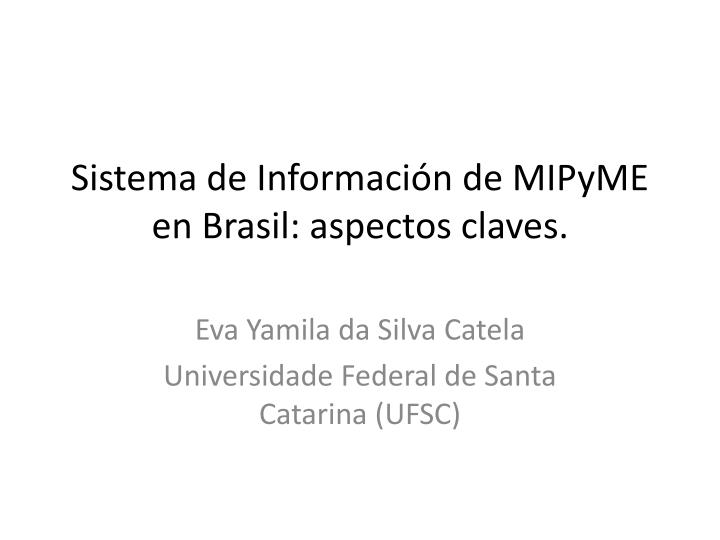 sistema de informaci n de mipyme en brasil aspectos claves