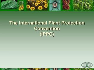 The International Plant Protection Convention (IPPC)