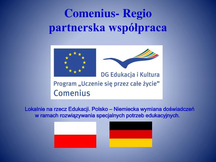 comenius regio partnerska wsp praca