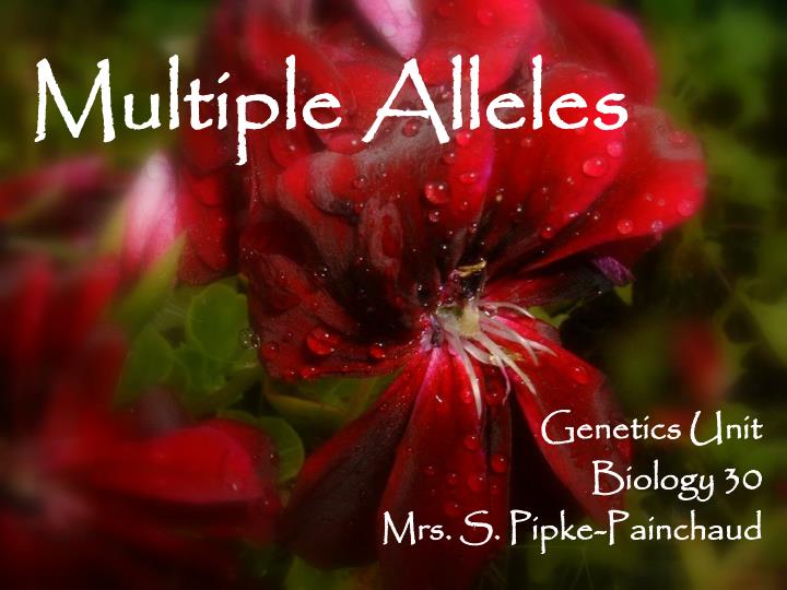 multiple alleles