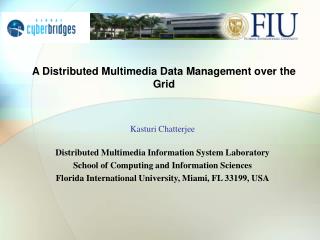 A Distributed Multimedia Data Management over the Grid