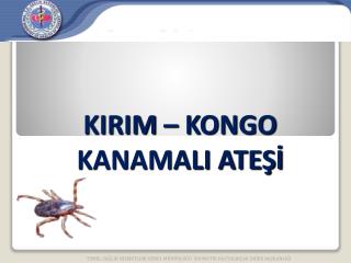 kirim kongo kanamali ate