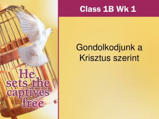 class 1b wk 1