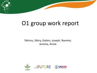 O1 group work report