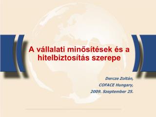 a v llalati min s t sek s a hitelbiztos t s szerepe