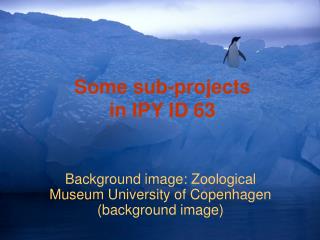 Some sub-projects in IPY ID 63