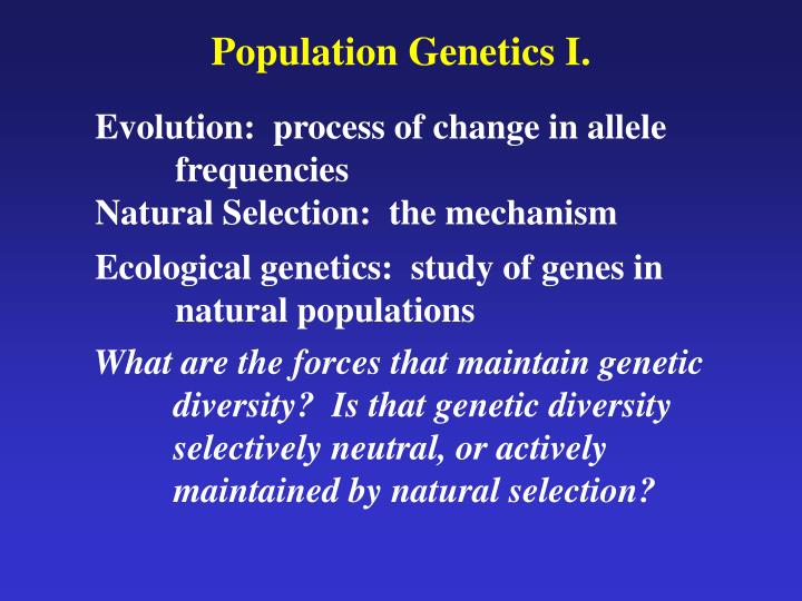 population genetics i