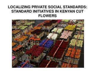 LOCALIZING PRIVATE SOCIAL STANDARDS: STANDARD INITIATIVES IN KENYAN CUT FLOWERS