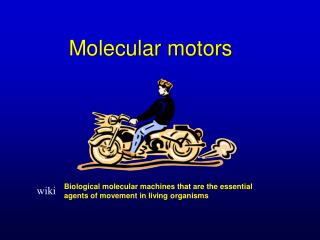 Molecular motors