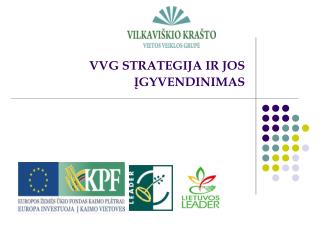 vvg strategija ir jos gyvendinimas