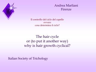 Il controllo del ciclo del capello ovvero cosa determina il ciclo? The hair cycle