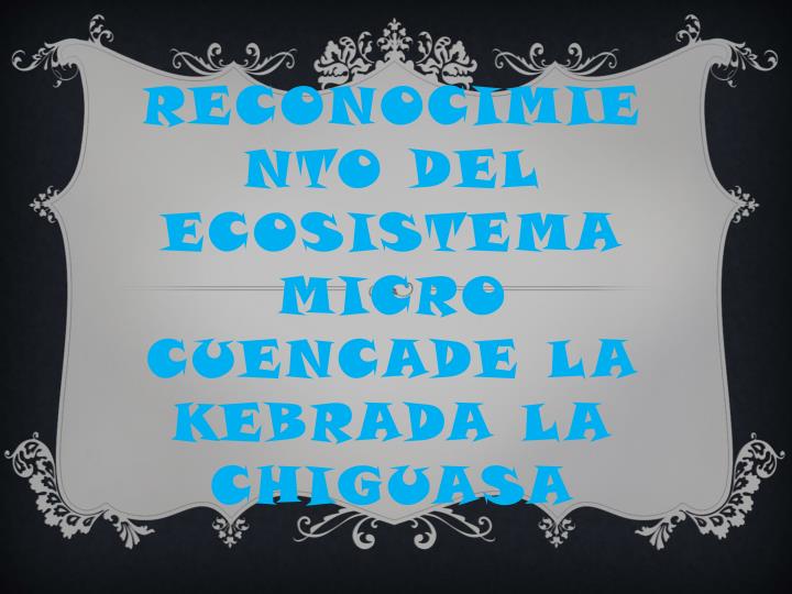 reconocimiento del ecosistema micro cuencade la kebrada la chiguasa