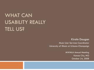 What Can Usability Really Tell Us?