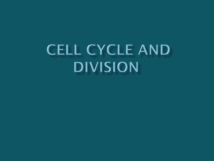cell cycle and division