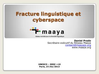 fracture linguistique et cyberspace