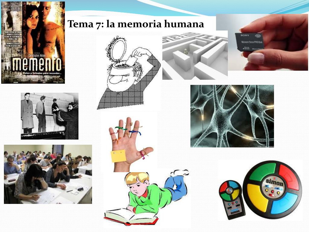 PPT - Tema 7: la memoria humana PowerPoint Presentation, free download