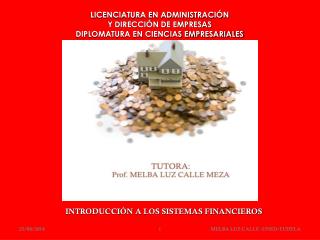 LICENCIATURA EN ADMINISTRACIÓN Y DIRECCIÓN DE EMPRESAS DIPLOMATURA EN CIENCIAS EMPRESARIALES