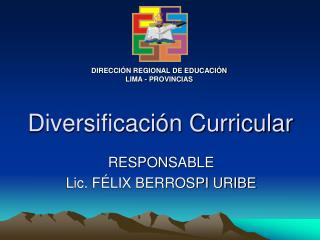 diversificaci n curricular