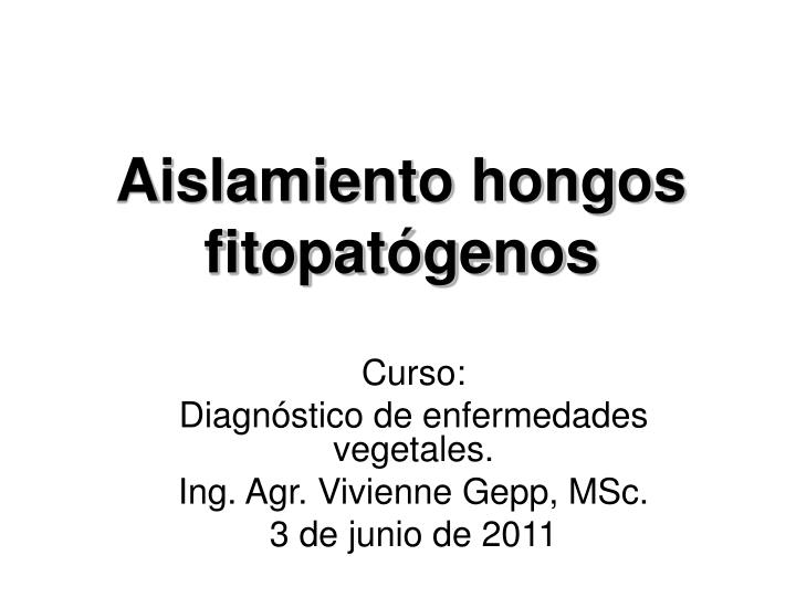 aislamiento hongos fitopat genos
