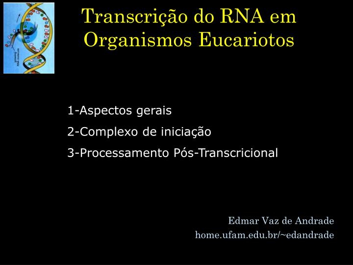 transcri o do rna em organismos eucariotos