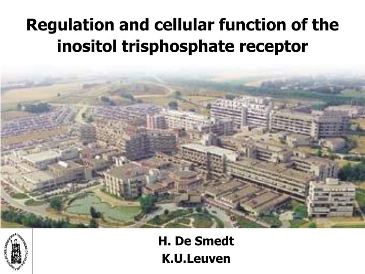 regulation and cellular function of the inositol trisphosphate receptor