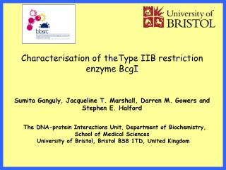 Characterisation of theType IIB restriction enzyme BcgI