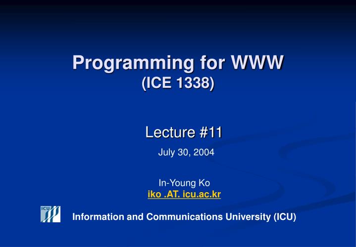 programming for www ice 1338