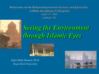 Safei-Eldin Hamed, Ph.D Texas Tech University