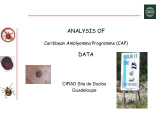 ANALYSIS OF Caribbean Amblyomma Programme (CAP) DATA