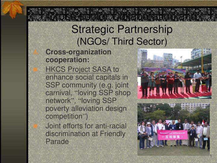 cross sector collaboration and strategic partnership ngos third sector