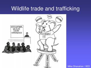 Wildlife trade and trafficking