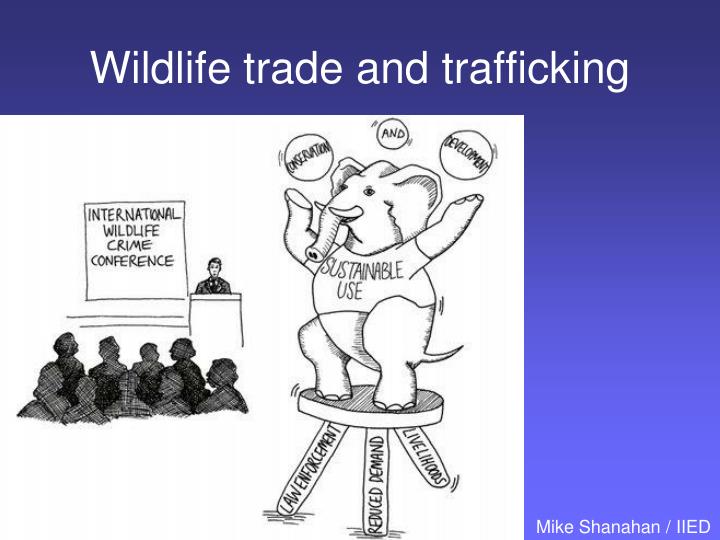 wildlife trade and trafficking