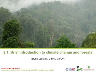 2.1. Brief introduction to climate change and forests