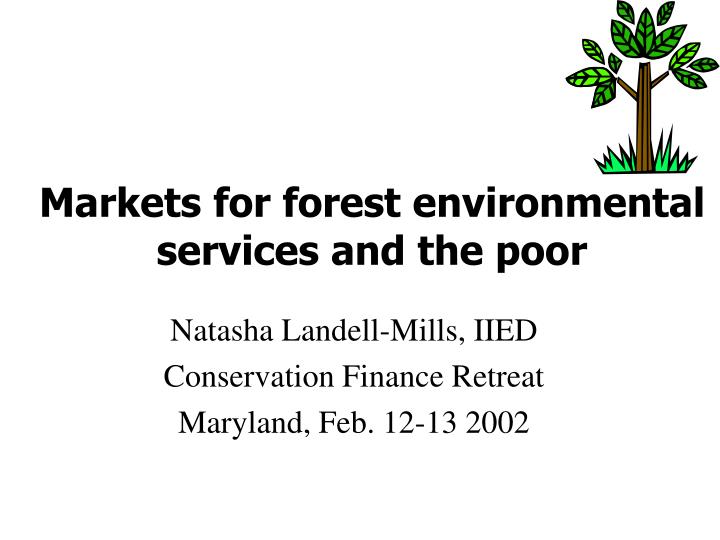 markets for forest environmental services and the poor