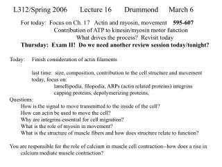 L312/Spring 2006	Lecture 16	Drummond 	March 6