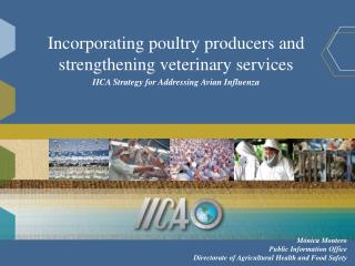 Incorporating poultry producers and strengthening veterinary services